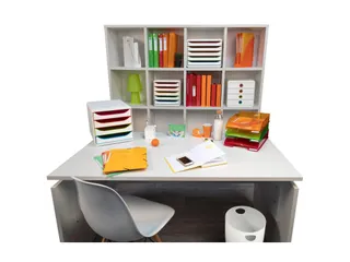 ECOBIN Papiermand 15L Office wit - 12