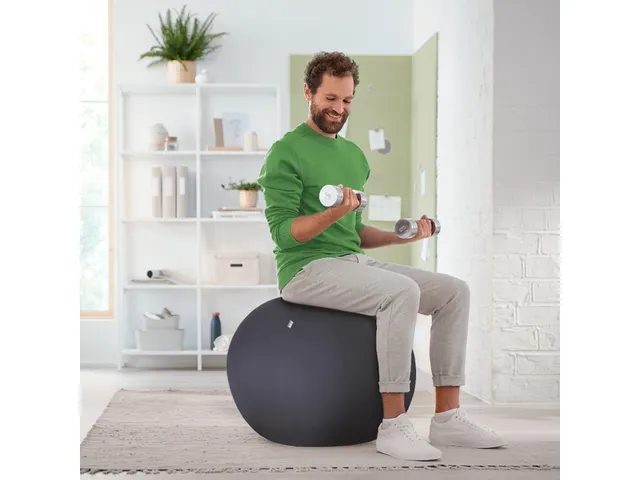Ballon d'assise Leitz Ergo anti-basculement 55cm gris foncé
