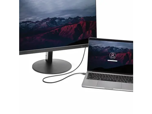 USB-C naar DisplayPort adapter kabel 1,8 meter 4K 60Hz