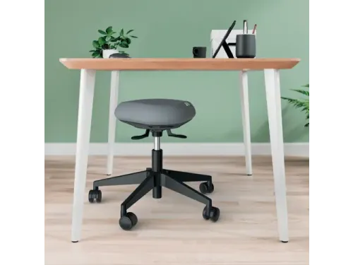 Zitkruk Leitz Ergo met wieltjes en wiebelkussen 600x470x600mm zwart