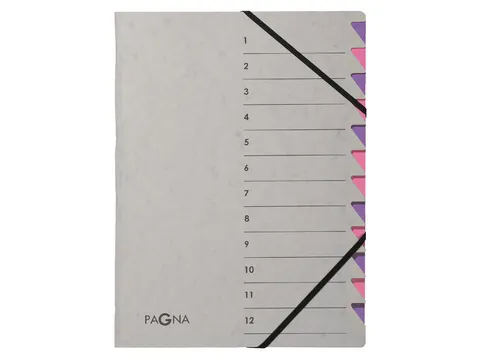 Sorteermap Pagna Easy 12 vaks A4 Grijs/Lila karton