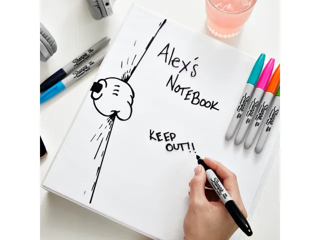 Marqueur permanent Sharpie Fin blister 12 couleurs assorties