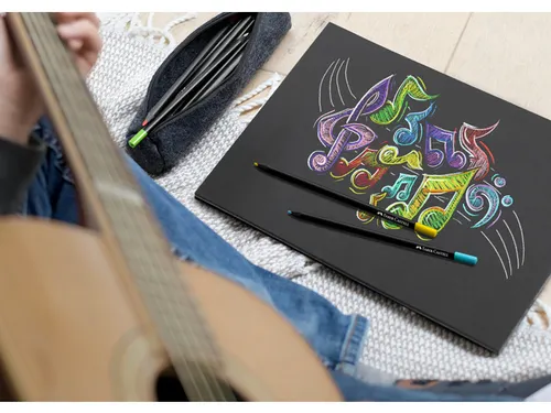 Kleurpotloden Faber-Castell Black Edition in kartonnen etui á 24 stuk