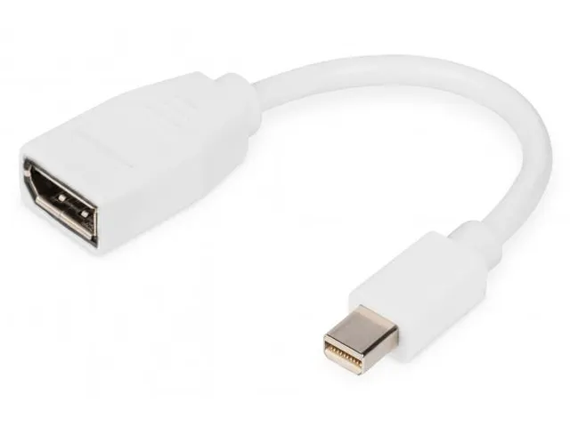 DisplayPort-adapterkabel type mini DP DP Male/Female 0,15m UHD 4K Wit