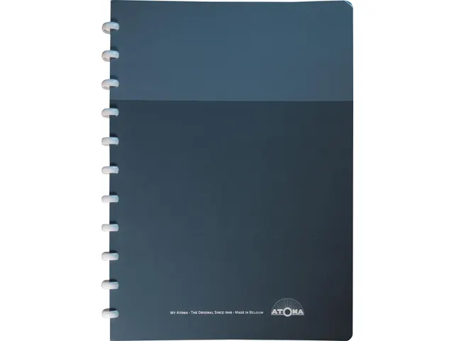 Schrift My Creative Atoma A4 Assorti Commercieel Ruit