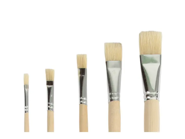 Kwast Qrea varkenshaar set à 5 breedtes