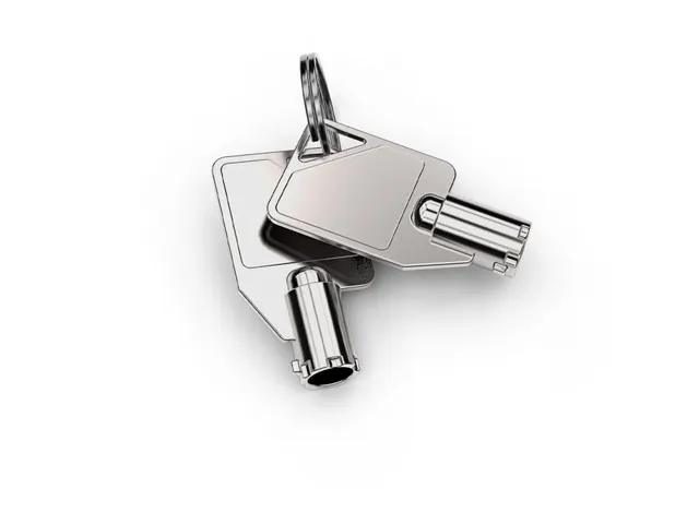 Compulocks Dual Head Coiled Cable Keyed Lock, 2 clés, Acier galvanis