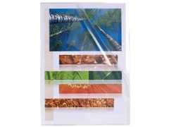 Zakje Met 10 L-Mappen Gladde Polypropyleen 0.12mm A4 Transparant