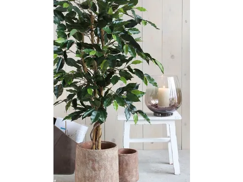 Kunstplant Mica Ficus groen in pot 85x150cm