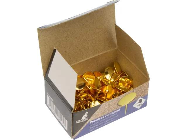 Punaise Kangaro cuivrées, 100 pièces dans une boite.