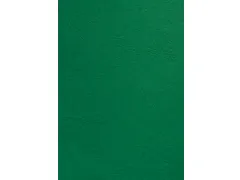 Voorblad Gbc A4 Lederlook 250 Gram Groen