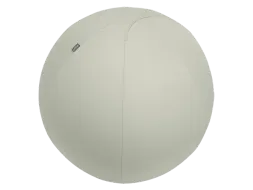 Leitz Ergo actieve zitbal anti-rol met stop-functie 75cm lichtgrijs