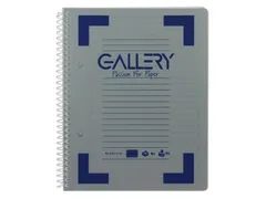 Gallery Spiraalschrift Traditional A5 Lijn Assorti