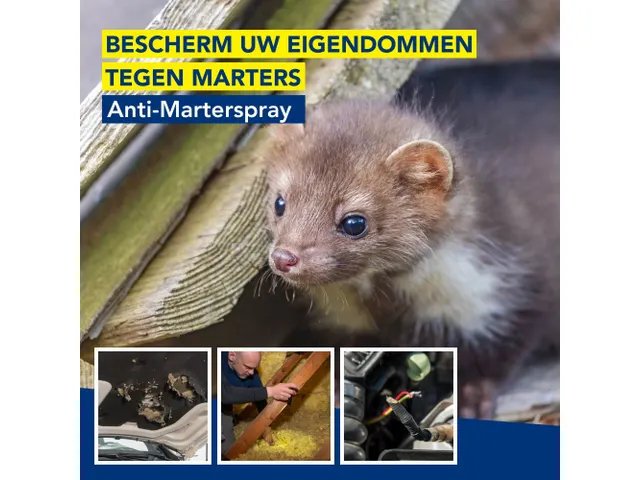 Anti marter spray 500ml