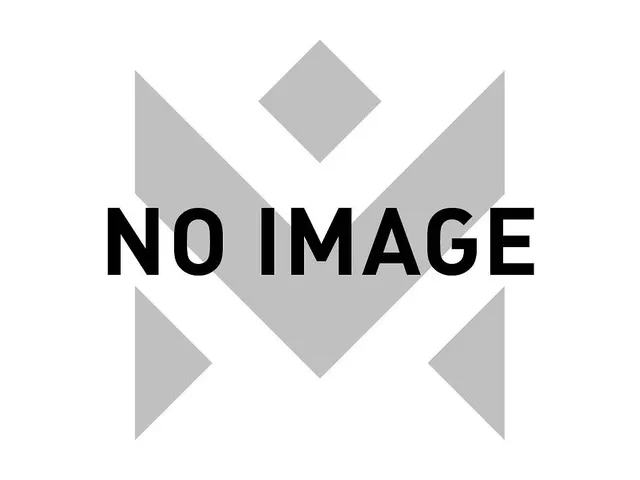 Spasciani voorruit masker TR82 veilighdsglas (2 stuks)