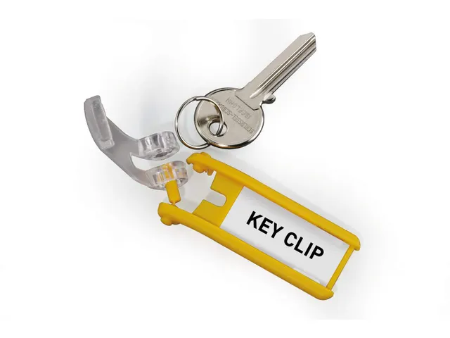 Sleutellabel Durable met ring assorti 6stuks