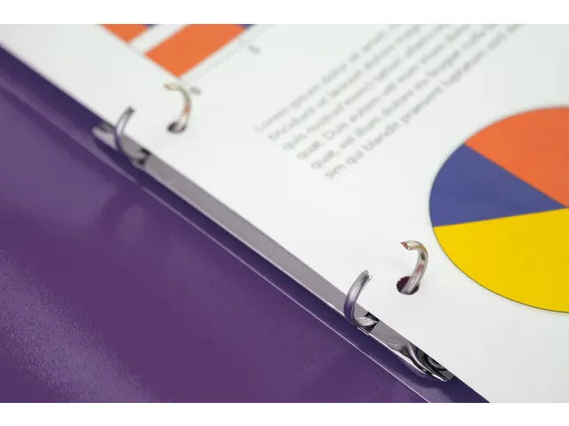 Ringband Kangaro 16 mm 2-rings, A4 formaat. Vervaardigd van PP. Transp