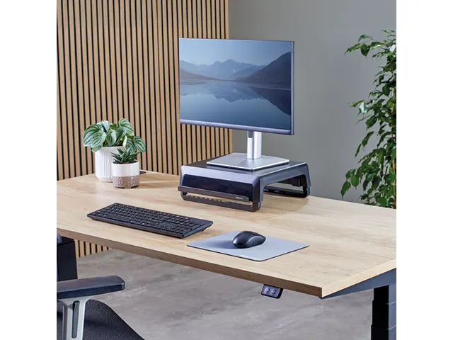 Muismat Fellowes Breyta XL grijs 21x28cm
