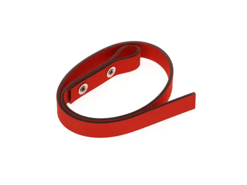 R19991019 Vervangingsband 490mm voor bandsleutel
