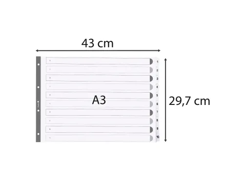 Bedrukte Tabbladen Karton Geplastificeerde Tabs 10 Tabs 1-10 A3 Wit