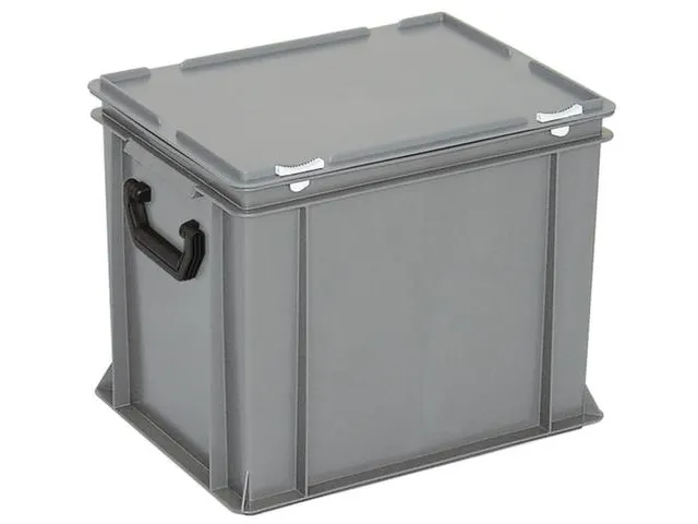 Euronorm Koffer Pe Hxlxb 330x400x300mm 31l 2 Handgrepen Grijs