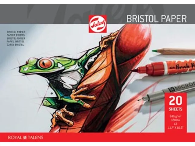 Bristol papier 250 g 29,7 x 42 cm A3 20 vel
