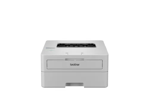 Printer Laser Brother HL-L2865DW