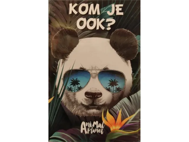 Uitnodigingen Panda 13.5x9cm