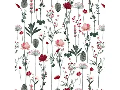 Toonbankrol Kangaro papier nature wit 80 grams 50 cm breed 200 meter