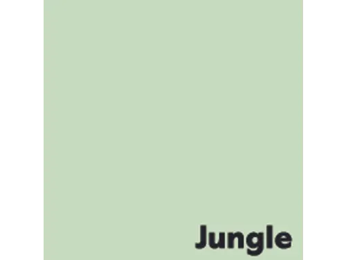 Kopieerpapier Jungle Lichtgroen A4 80 Gram 500 Vel