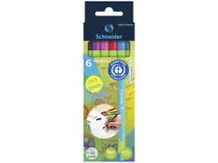 Fineliner Schneider Line-Up 0,4mm assorti 5+1 stuks