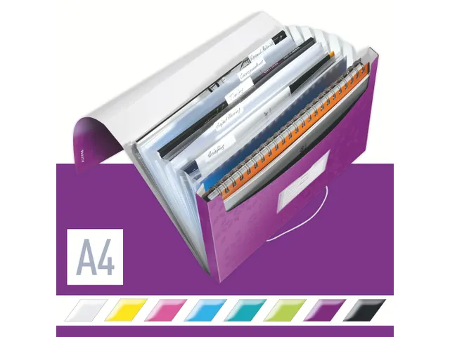 Sorteermap Leitz Wow A4 Pp 6 Vaks Paars