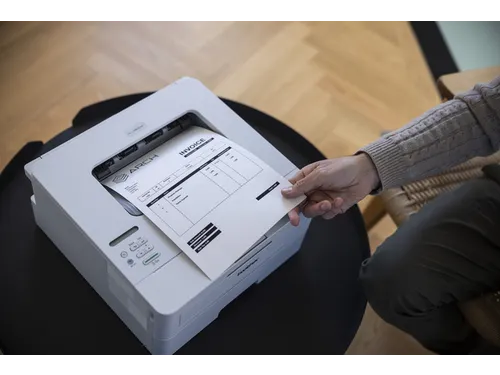 Printer Laser Brother HL-L2865DW