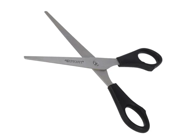 Ciseaux Westcott 155mm inox manche plastique