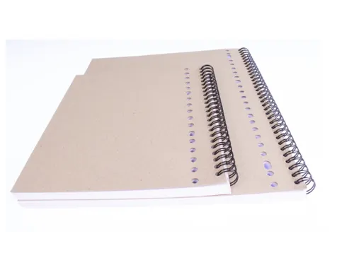 Collegeblok Multo A4 ruit 10mm 23gaats 160pagina's 90gram