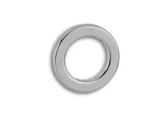 Neodymium Ringmagneet 12mm 0.5kg 10 Stuks