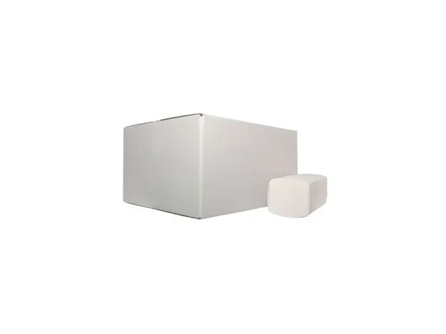 Handdoek Z-vouw Cellulose 2-laags 23x25cm 3200 stuks