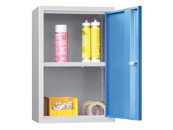 Hangkast 600x400x300mm 1 Verstelbaar Legbord Ral 7035 Front Ral 5012