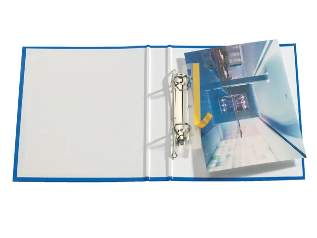 Dossierstrip Filefix Durable Zelfklevend