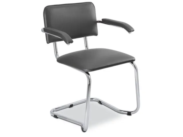 Bezoekersstoel,Vrijzwaaiend Ronde Buis Verchroomd,M. Armleuningen