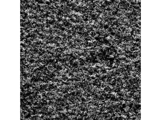 Schoonloopmat 91x150 cm Voor Binnenshuis Antraciet