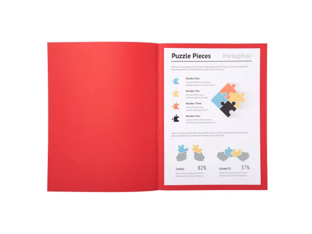 100 dossiermappen SUPER 250 24x32cm Rood