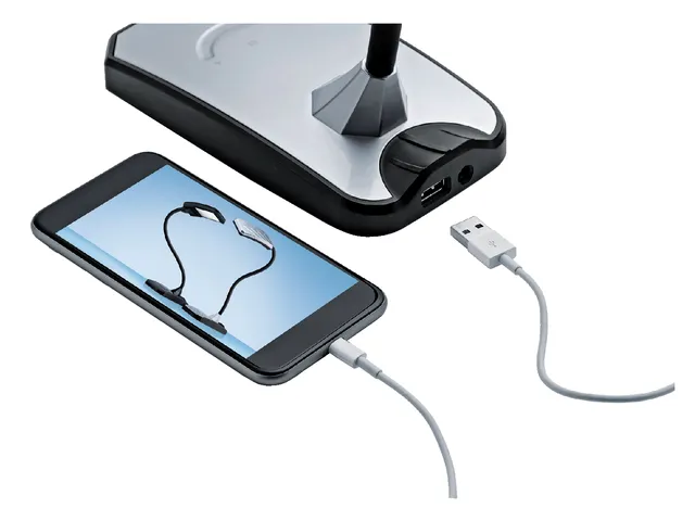 Lampe de bureau LED Hanza Twist noir