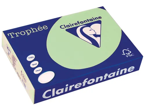 Trophée Pastel gekleurd papier A4 80 gram 500vel Natuurgroen