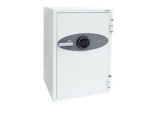 brandkast,60-90min. brandveiligheid,HxBxD 820x520x520mm,1niveaus