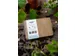 Giftbox Blossombs box à 7 zaadbommetjes