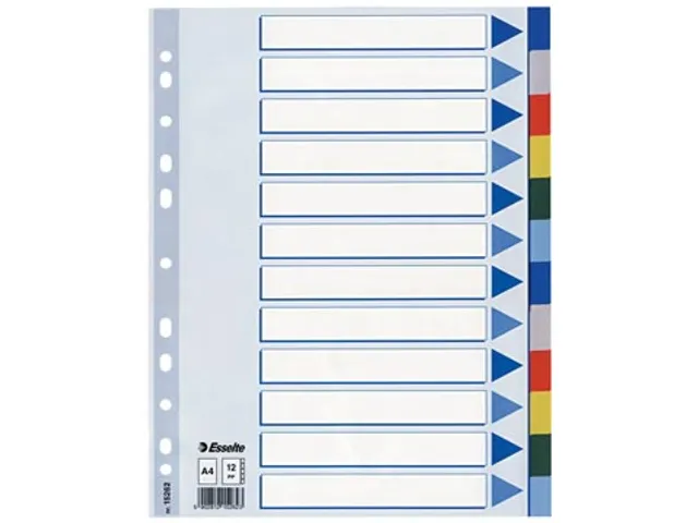Esselte Tabbladen A4 12-Delig 11-Gaats
