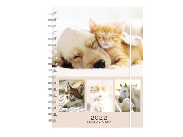 Agenda 2022 My Favorite Friends