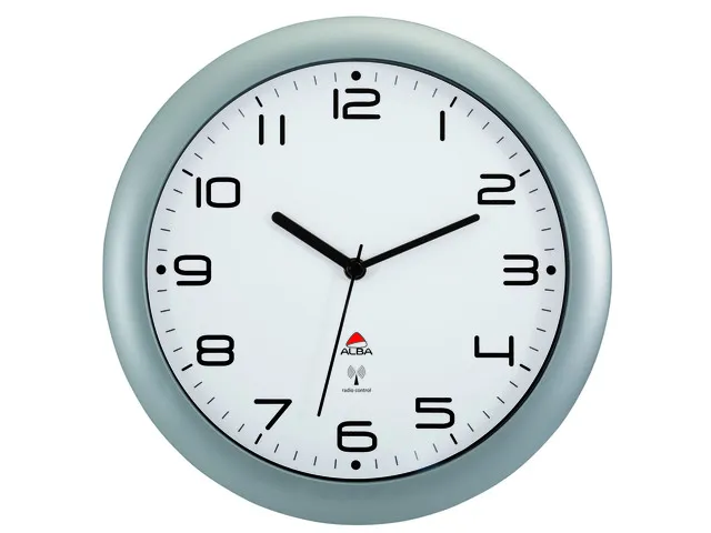 De Alba HORNEW radiografische wandklok met stille werking 30cm. grijs