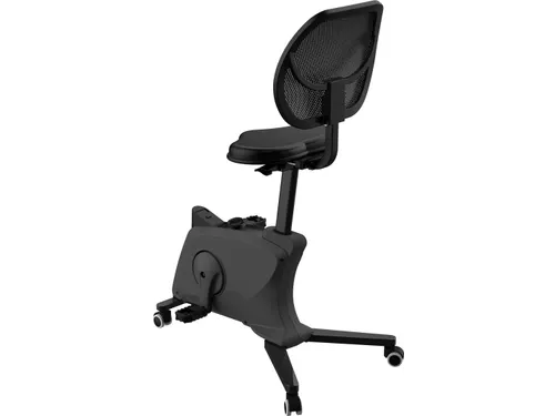 Bureaufiets Ross
